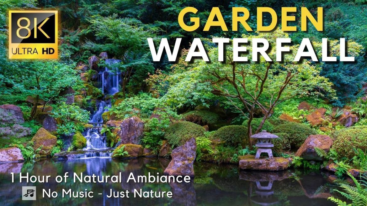 8K Garden Waterfall – Portland Japanese Garden – 1 Hour Natural Ambiance – Virtual Window – No Music 8K Garden Waterfall - Portland Japanese Garden - 1 Hour Natural Ambiance - Virtual Window - No Music