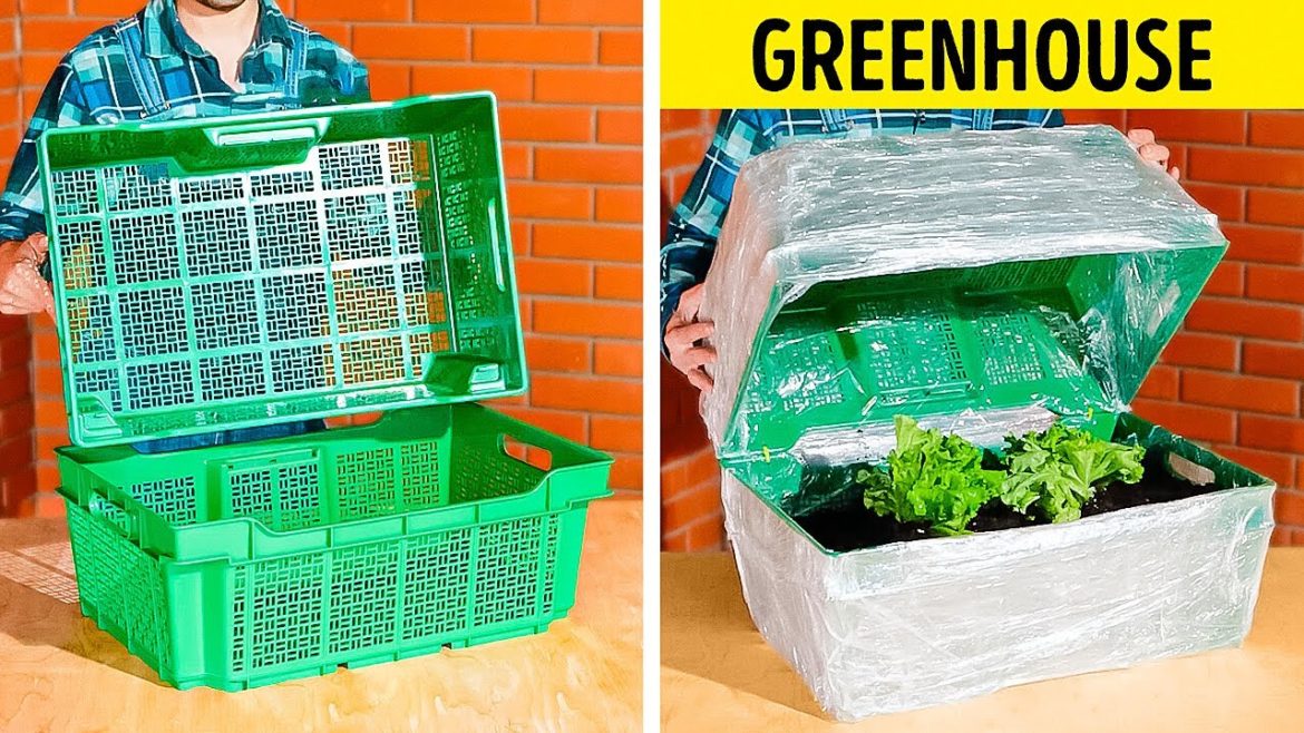 Simple Gardening Hacks That Will Save Your Money 🍀 Simple Gardening Hacks That Will Save Your Money 🍀