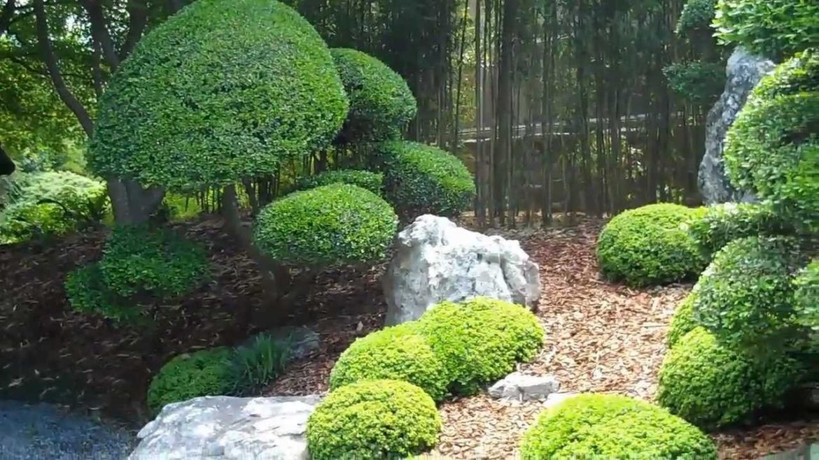 Japanese Garden At Norfolk Botanical Garden
