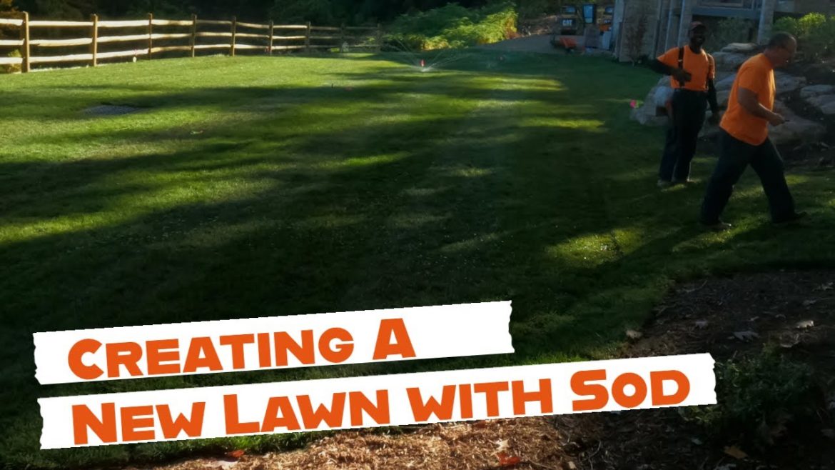 Considering Sod for you home lawn?- Landscaping Ideas - eichenlaub