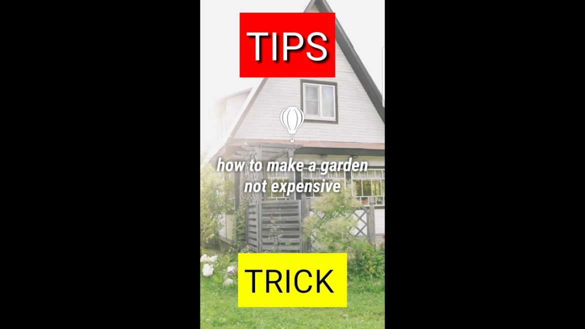 Tips & Tricks || How to make cheap but luxurious garden