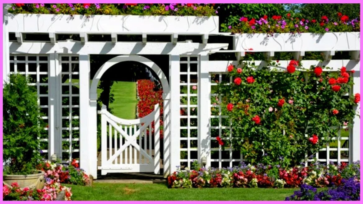 Top 5 Best Trellises in 2022 reviews✅ For your Garden Climbers