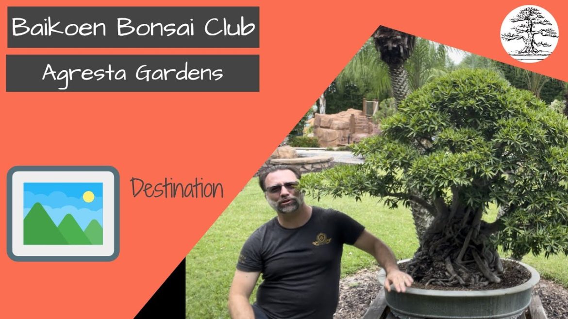 Agresta Gardens - Bonsai Destination - Baikoen Bonsai Club