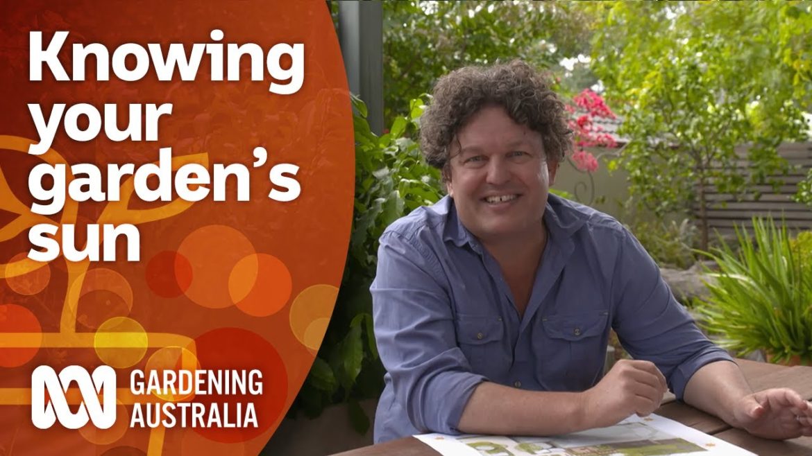 How seasonal sun impacts your garden's health | Gardening 101 | Gardening Australia How seasonal sun impacts your garden's health | Gardening 101 | Gardening Australia
