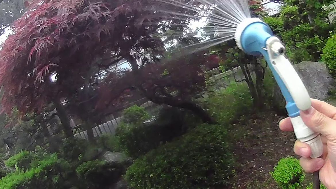 Japanese gardening sprinkle water cloudy morning