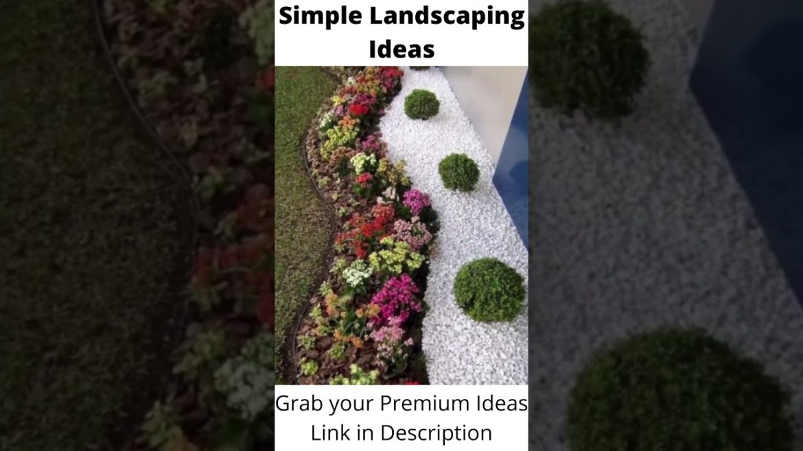 Decorate Your Home | Landscape Your Garden | Backyard Landscaping - Bux Gadgets #Shorts #tiktok