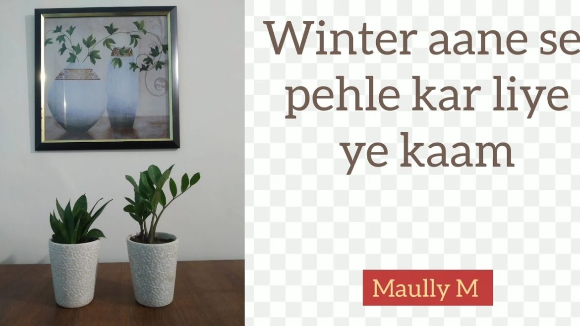 Do this work in garden before winter☘️☘️. Tricks and tips for repotting 🌱🌸 Do this work in garden before winter☘️☘️. Tricks and tips for repotting 🌱🌸