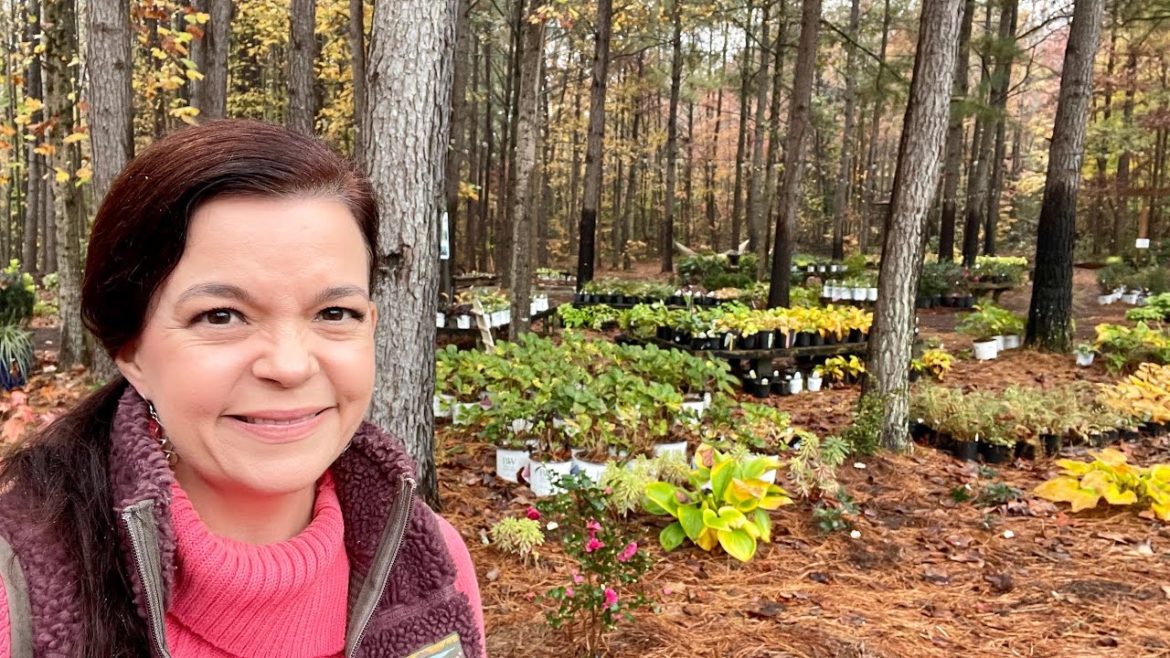 Add These Fun Plants to Your Shade Garden! | Gardening with Creekside Add These Fun Plants to Your Shade Garden! | Gardening with Creekside