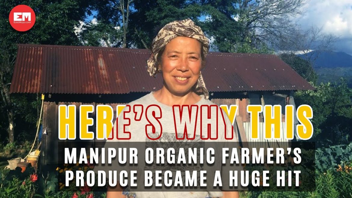 Manipur: How this Ukhrul woman turned her garden into an organic farm Manipur: How this Ukhrul woman turned her garden into an organic farm