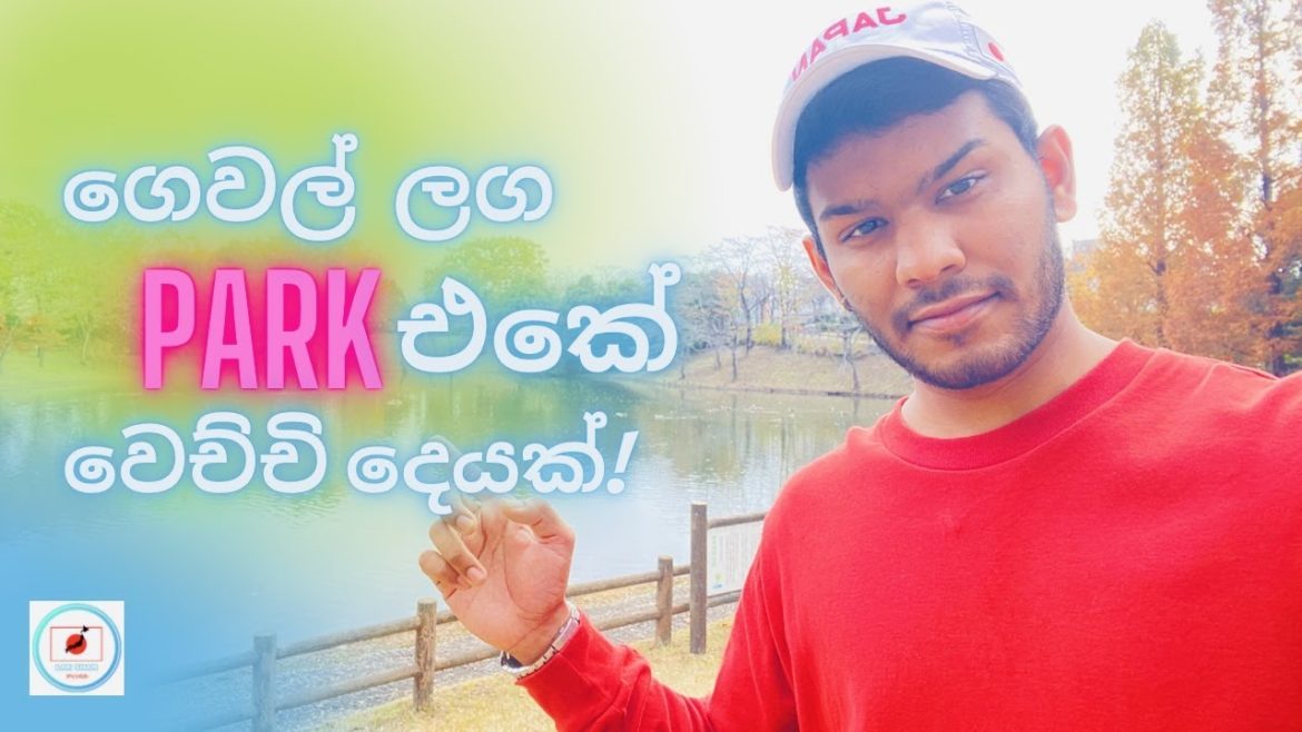 Beautiful Park In Japan | Japanese Garden in Saithama | LAK SHAN チャンネル