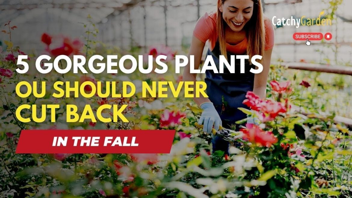 5 Gorgeous Plants You Should Never Cut Back In The Fall πΊπ·π³ // GARDENING TIPS 5 Gorgeous Plants You Should Never Cut Back In The Fall πΊπ·π³ // GARDENING TIPS
