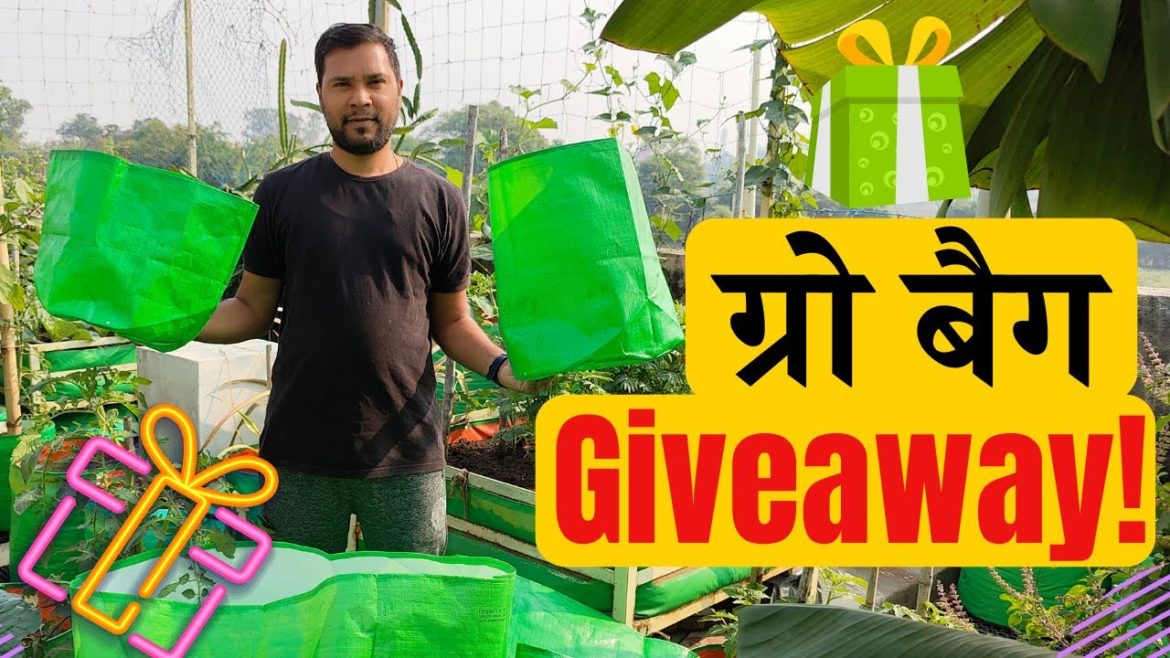Amazing Grow Bag Giveaway! 👍 ग्रो बैग Giveaway 2022 | Terrace and Gardening 🙌