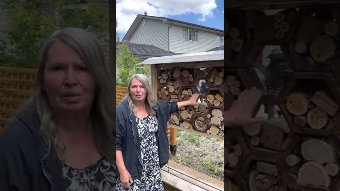 Front Yard Forest Gardens & Insect Hotels!