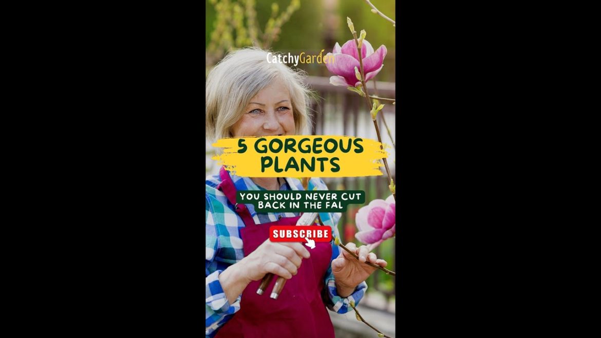 5 Gorgeous Plants You Should Never Cut Back In The Fall 🌷🌳🌺 // #short #shorts