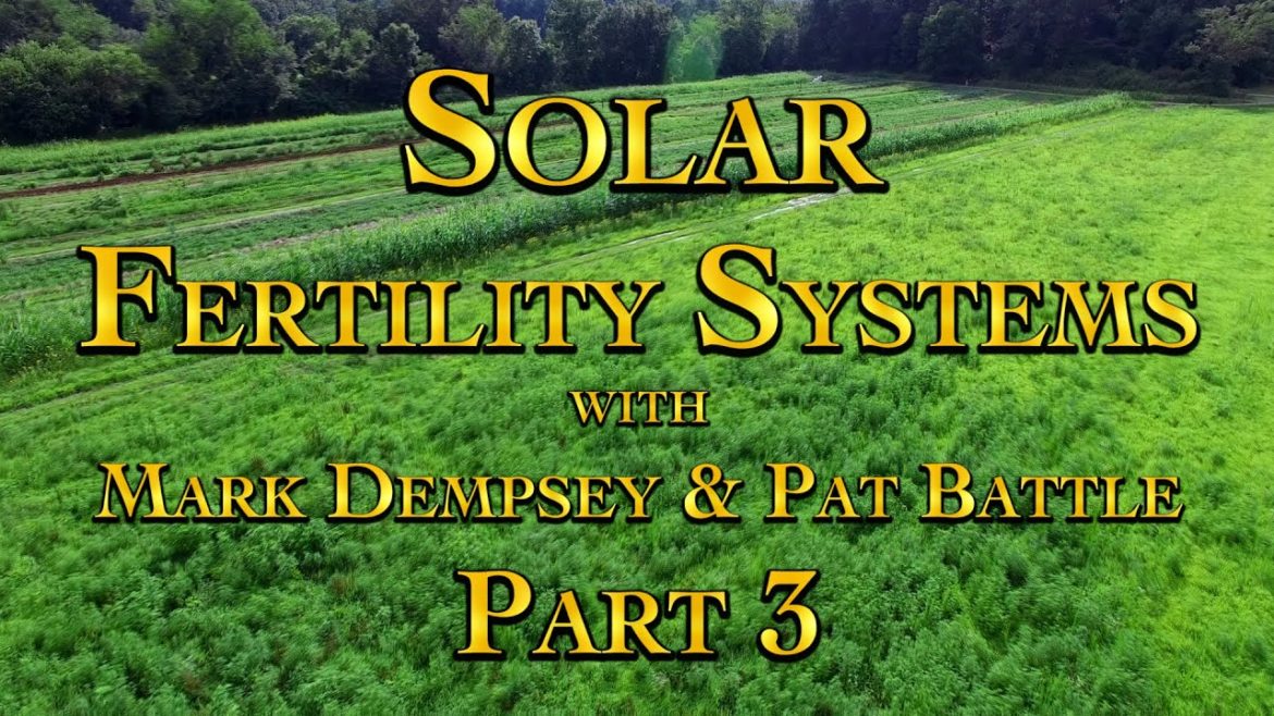 Solar Fertility Systems with Mark Dempsey & Pat Battle Part 3