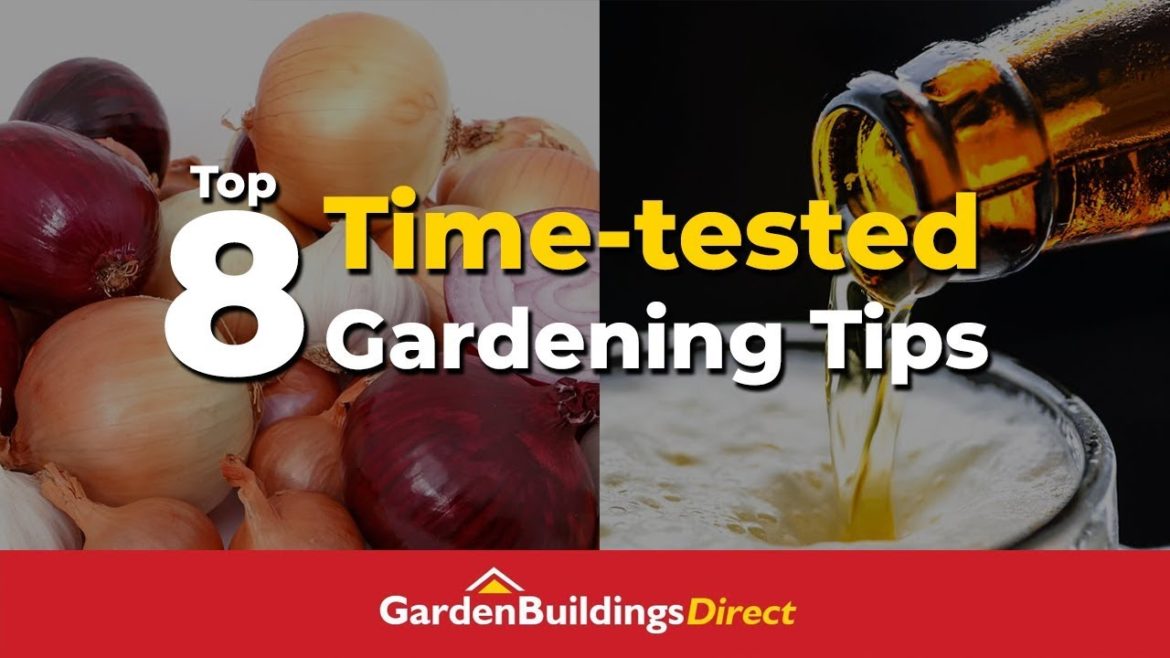 Top 8 Time-tested Gardening Tips – Old-school Gardening Hacks That Save You Money Top 8 Time-tested Gardening Tips - Old-school Gardening Hacks That Save You Money