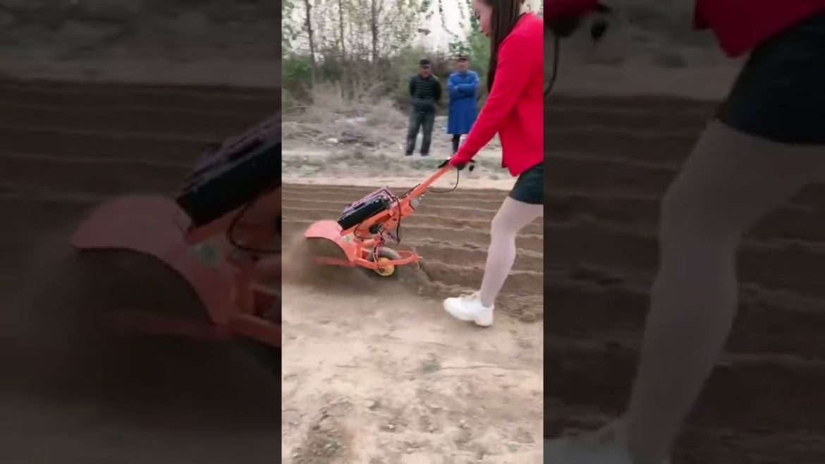 Machine easy to use #shorts #gardener #fruit #fyp #funny #harvest #Satisfying