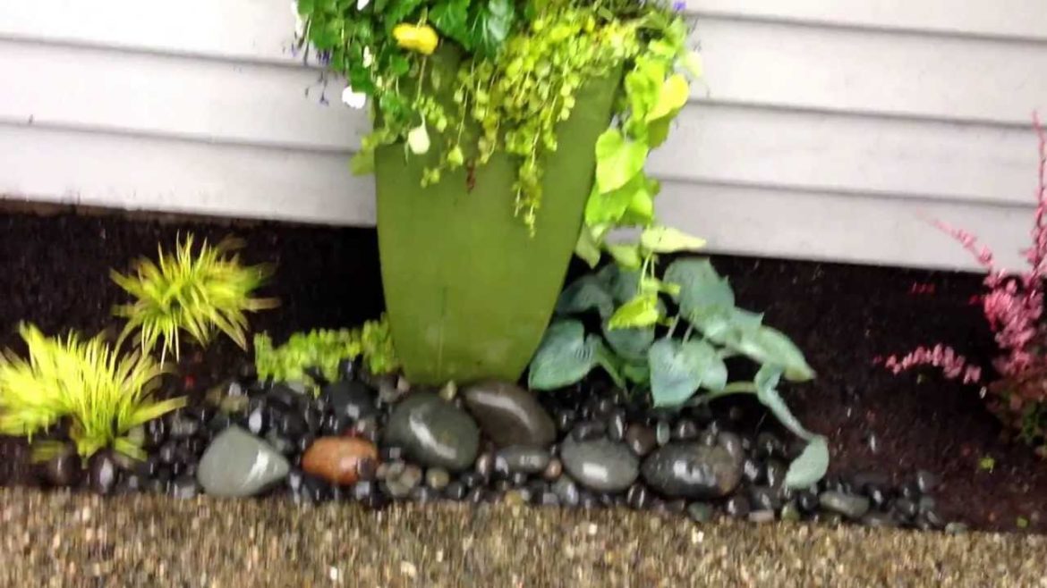 Smallest Front yard Landscaping Install. 425-492-5000 Smallest Front yard Landscaping Install. 425-492-5000