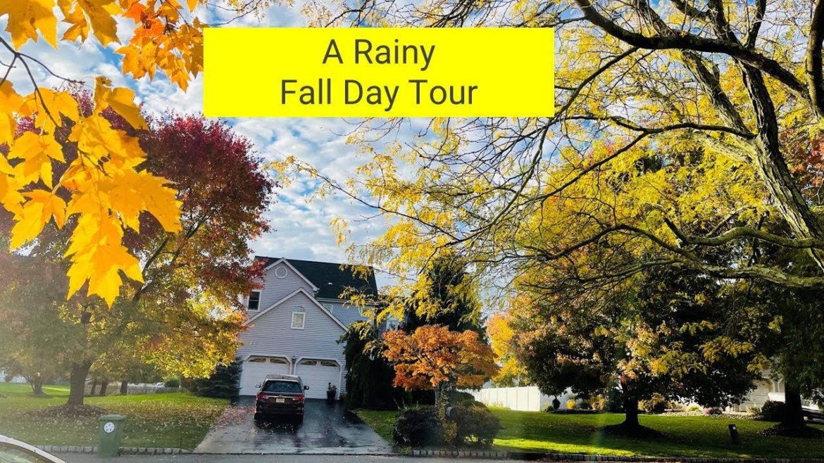 Beautiful Rainy Day & Fall Colors around my garden landscape | Backyard Garden Highlights Beautiful Rainy Day & Fall Colors around my garden landscape | Backyard Garden Highlights