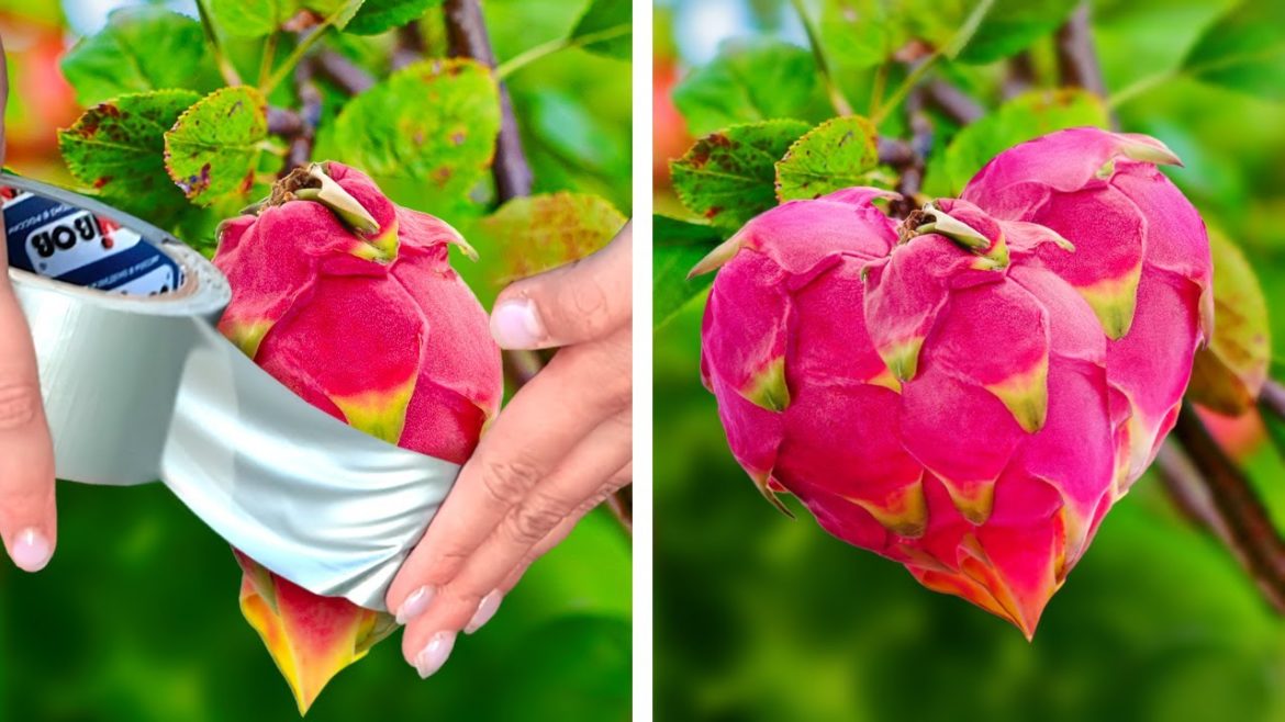 Useful Plant Growing Hacks And Gardening Tricks To Save Your Money Useful Plant Growing Hacks And Gardening Tricks To Save Your Money