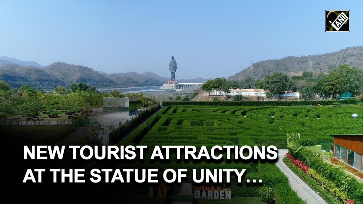 First look at the gorgeous Japanese inspired Miyawaki forest at the Statue of Unity complex First look at the gorgeous Japanese inspired Miyawaki forest at the Statue of Unity complex