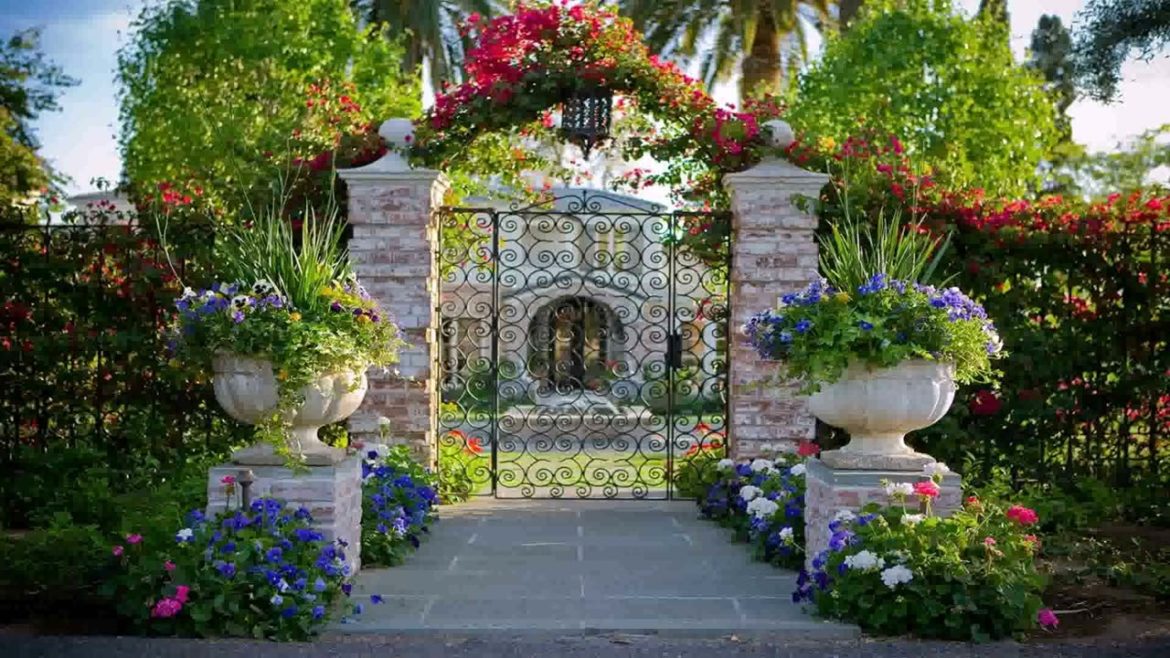 Arizona Backyard Landscape Design Ideas