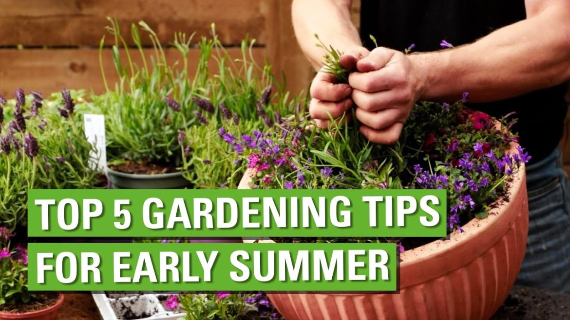 Top 5 Gardening Tips for Early Summer