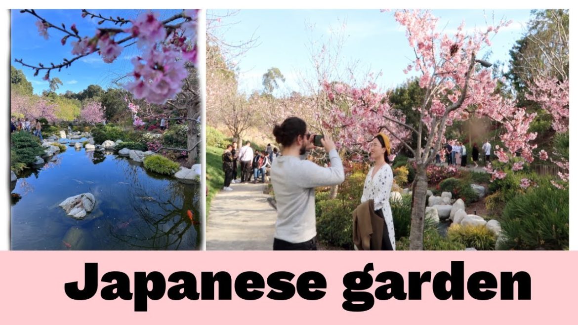 Japanese garden in San Diego // Could it be Jeff Bazos?