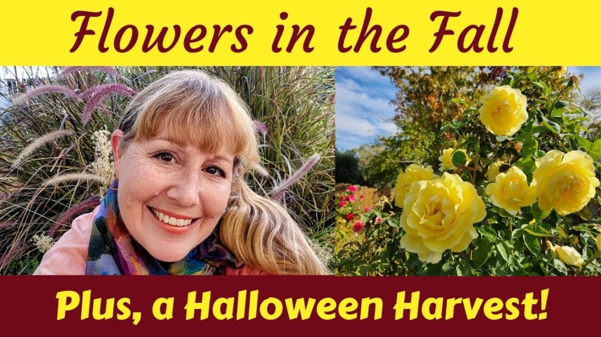 Halloween Harvest & Flowers in the Fall Halloween Harvest & Flowers in the Fall