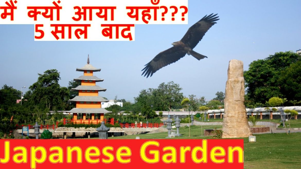 Japanese Garden in Chandigarh, Japanese garden in chd, chandigarh japani garden