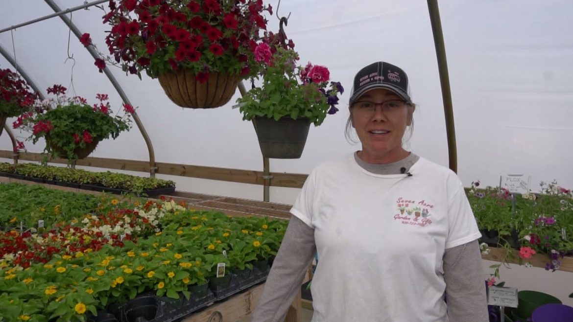 Discovering - Gardening tips, Walleye Tournament, Bluegills