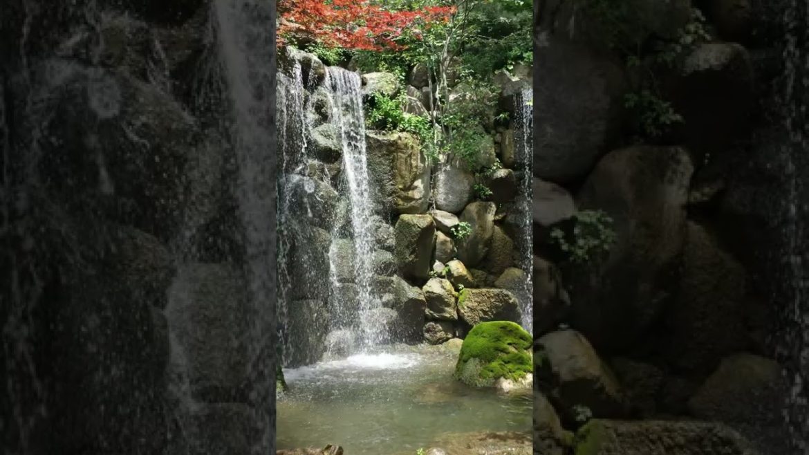 3 Amazing Waterfalls Near Chicago  #Shorts #Traveling #Chicago #FYP #Waterfalls