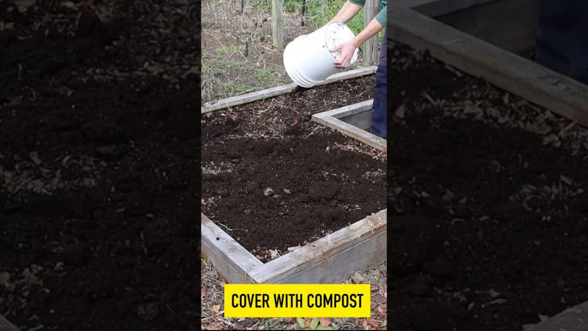 Raised Bed Winter and Spring Prep