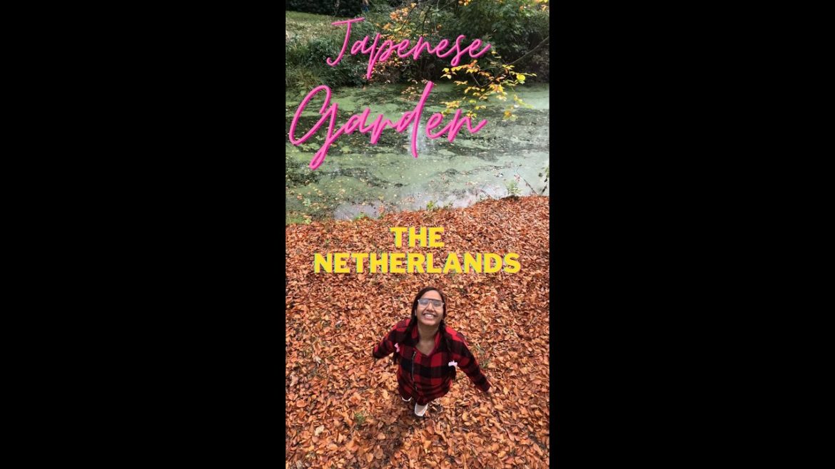 Click here @Happy Knacks for more videos | Japanese garden in the Hague, Netherlands #shorts