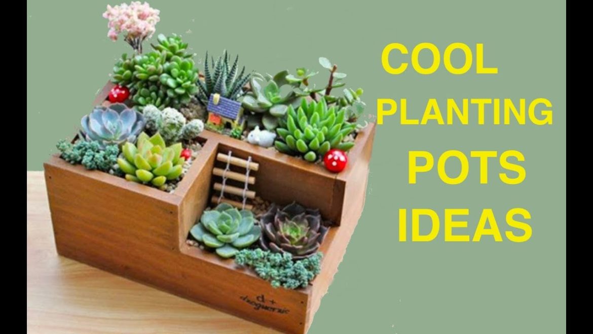 Container Gardening Pots Planters Novel Ideas for Planting Succulents Bonsai