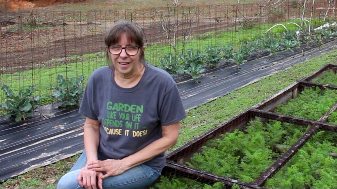 5 Favorite GARDENING Tips