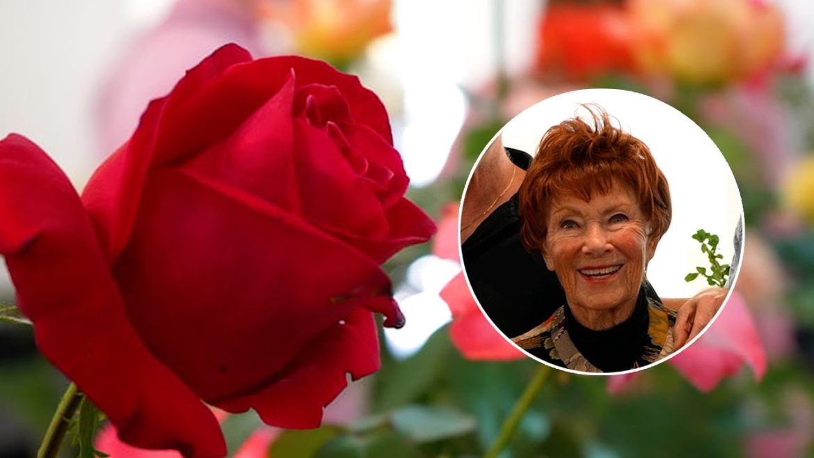 Rose Show & Auction with Marion Ross – Garden America Radio Show Rose Show & Auction with Marion Ross - Garden America Radio Show