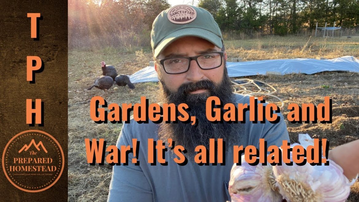 Gardens, Garlic and War! It’s all related. Gardens, Garlic and War! It’s all related.