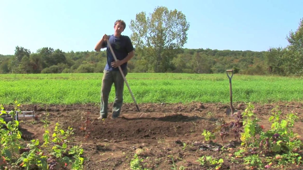 Vegetable Gardening : Growing Organic Vegetables in a Raised Bed Garden Vegetable Gardening : Growing Organic Vegetables in a Raised Bed Garden