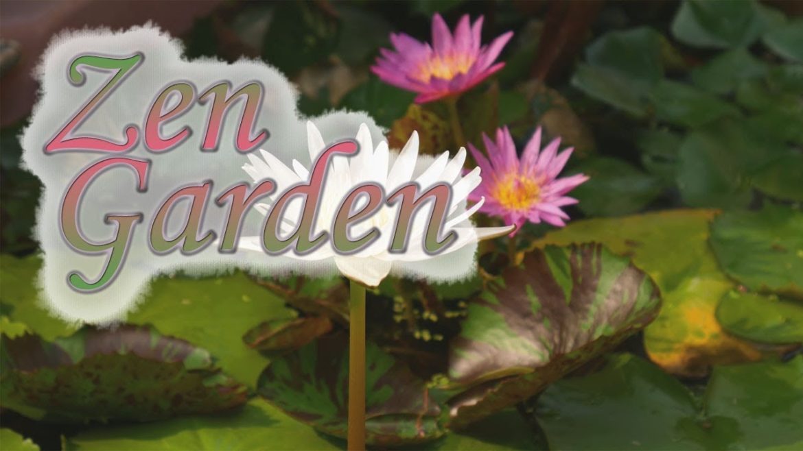 Zen Garden Background Mix | Tranquil & Calm Japanese Chinese East Asia Ambience Instrumental Music