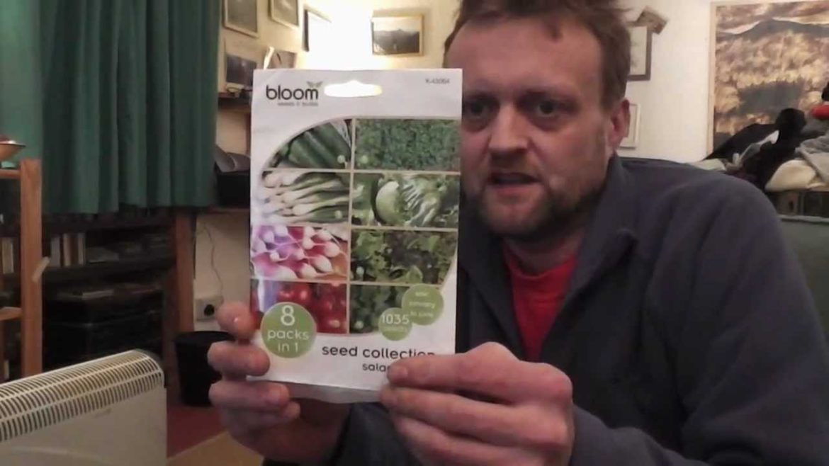 Vegetable Gardening on a budget : Bargain High Street Seeds
