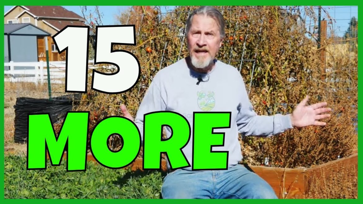 Important Fall Garden Tasks (Gardening Checklist) Important Fall Garden Tasks (Gardening Checklist)