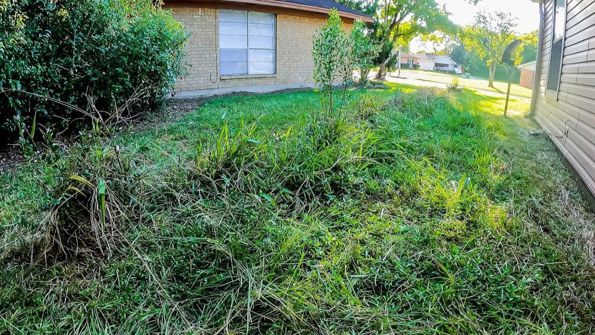 Homeowner SHOCKED I mowed this OVERGROWN Lawn for FREE