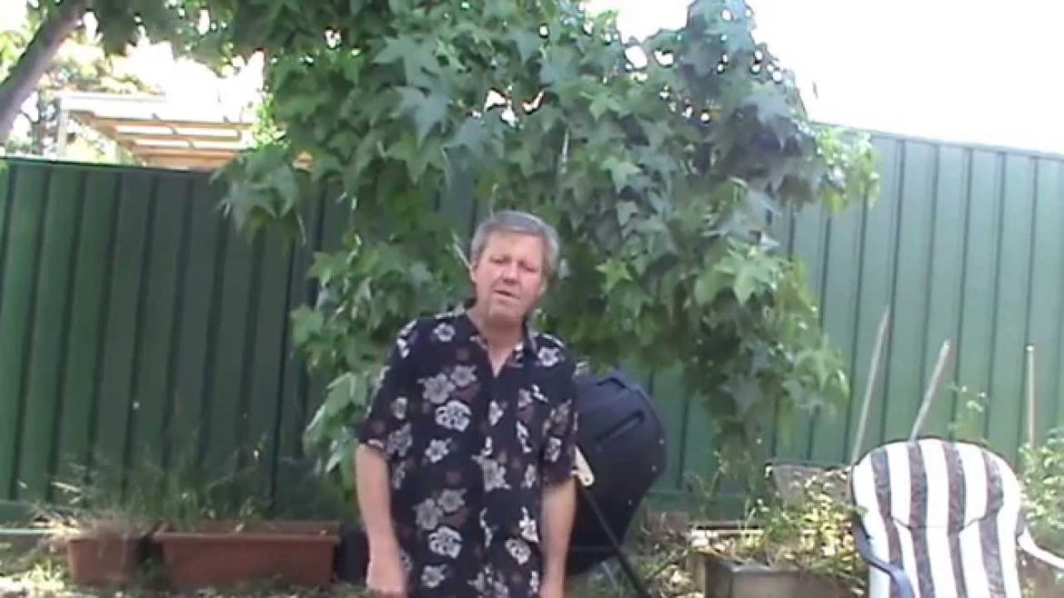 Phil's Gardening Tips And Tricks Wicking Air Pruning Pot