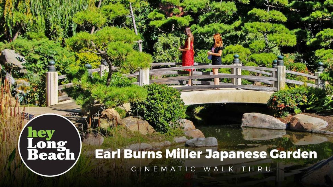 Long Beach Earl Burns Miller Japanese Garden Cinematic Walk Thru Long Beach Earl Burns Miller Japanese Garden Cinematic Walk Thru