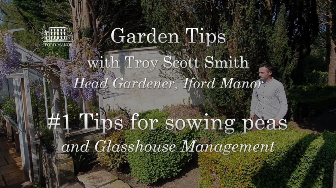 Gardening Tips with Troy #1 - Sowing in the Glasshouse