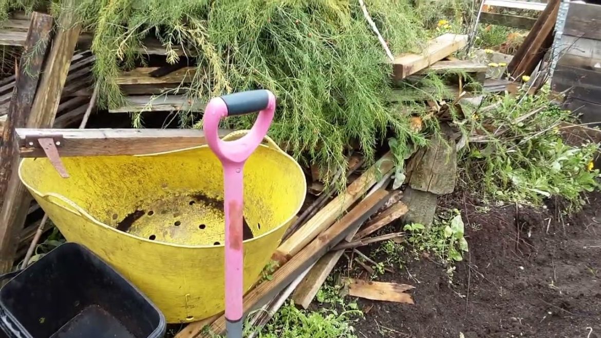 Jobs For November On Our Allotment's & Growing Spaces  🌻 Time Management On Our Allotment's