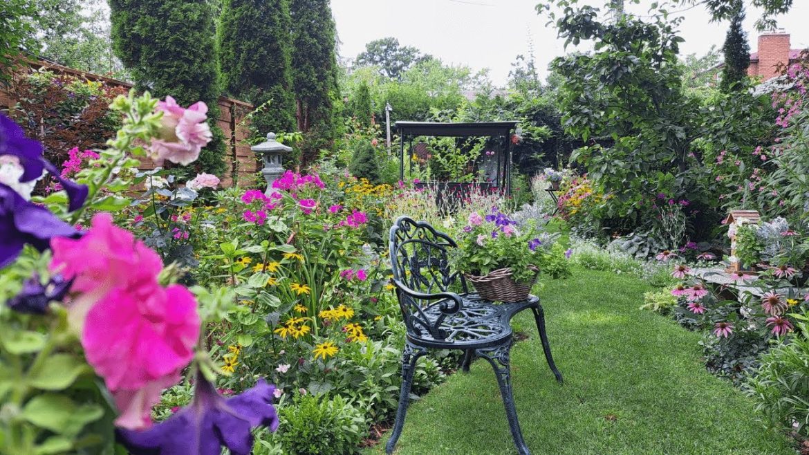 Cozy October Garden Update | Perennial Garden Tour Zone 5 Cozy October Garden Update | Perennial Garden Tour Zone 5