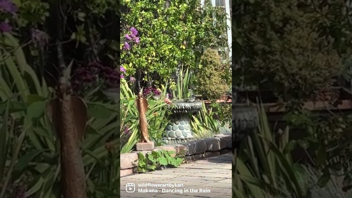 Beautiful backyard garden view! #birdwatching #backyardgarden #gardening  #flowers #shorts