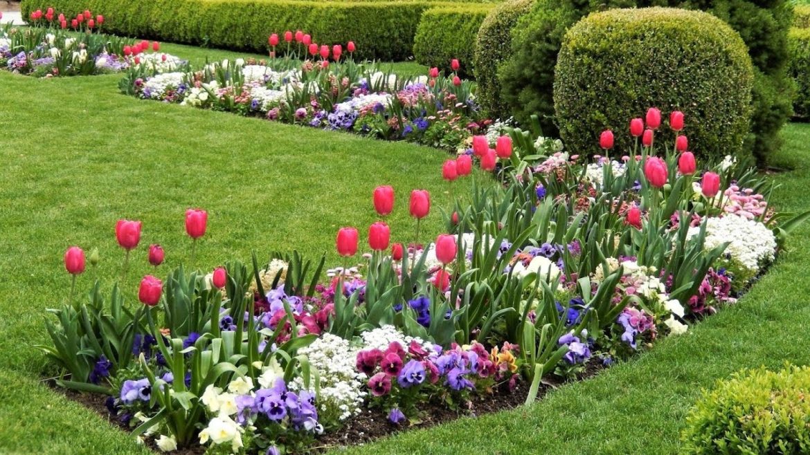 🌺Красивые сады Идеи для вдохновения / Creative garden ideas / A – Video 🌺Красивые сады Идеи для вдохновения / Creative garden ideas / A - Video